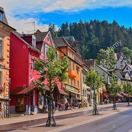 Dm Apartment Triberg im Schwarzwald Luaran gambar